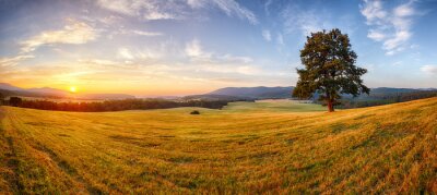 Panorama des champs et de la nature