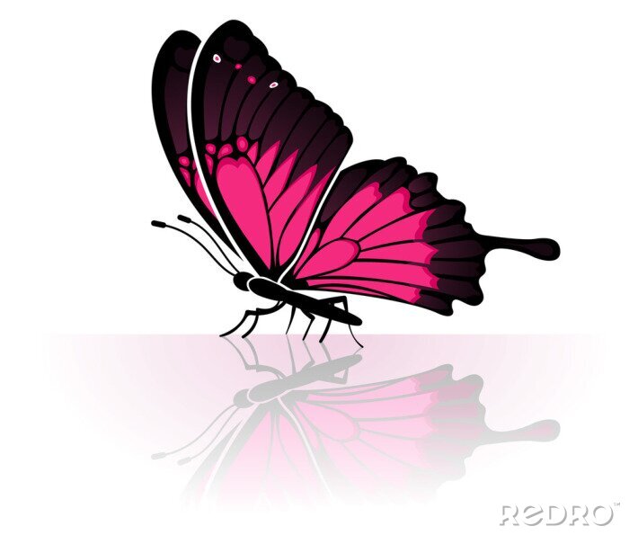 Sticker  papillon
