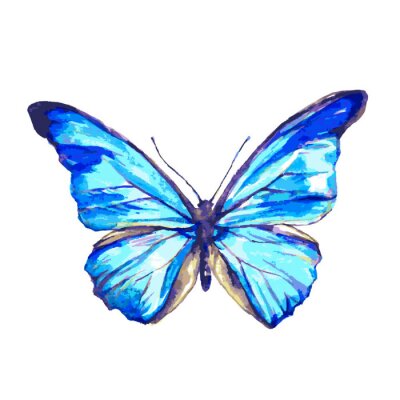 Sticker  Papillon aux ailes bleues