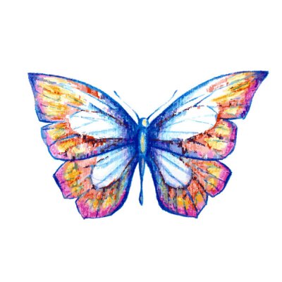 Sticker  Papillon aux ailes pastel
