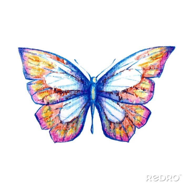 Sticker  Papillon aux ailes pastel