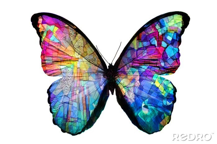 Sticker  Papillon avec des mosaïques arc-en-ciel sur les ailes