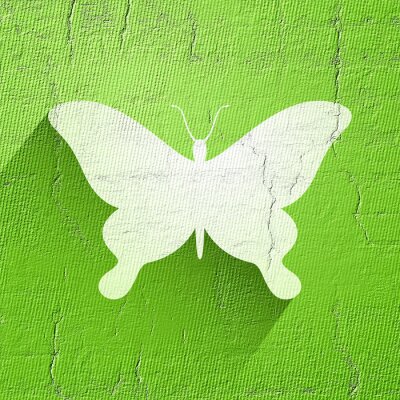 Sticker  Papillon blanc sur fond vert