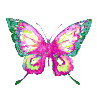 Sticker  Papillon coloré aquarelle