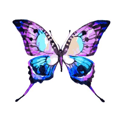 Sticker  Papillon en couleur aquarelle