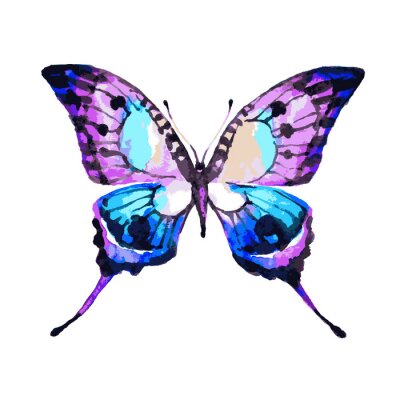 Sticker  Papillon en couleur aquarelle