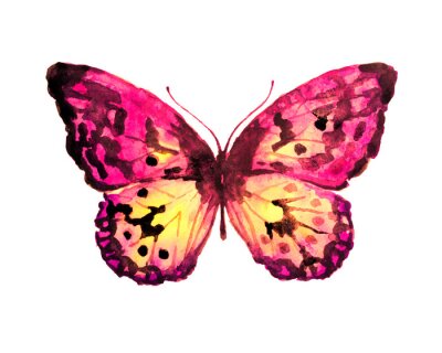 Sticker  Papillon fragile sur fond blanc