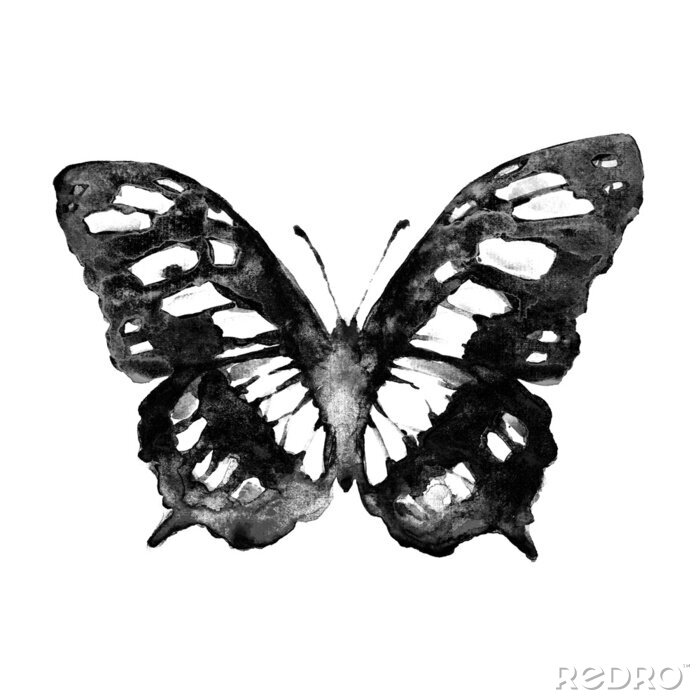Sticker  Papillon gris et blanc sur fond clair