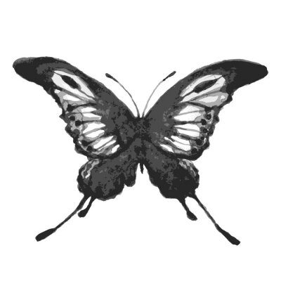 Sticker  Papillon monochrome sur fond clair