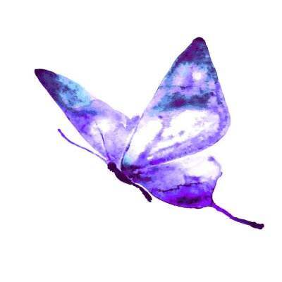 Sticker  Papillon qui vole aquarelle