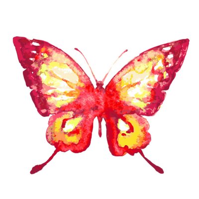 Papillon rouge aquarelle