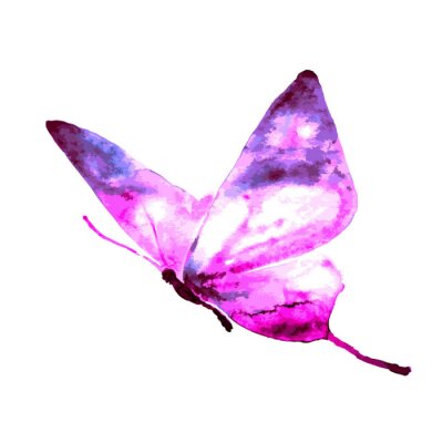 Sticker  Papillon style tie dye