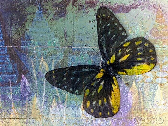 Sticker  Papillon sur un fond vieilli