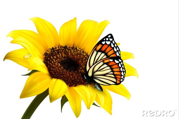Sticker  Papillon sur un tournesol