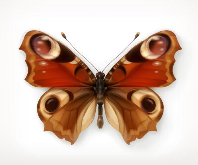 Sticker  Papillon sur une illustration réaliste