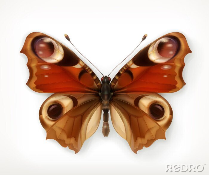 Sticker  Papillon sur une illustration réaliste
