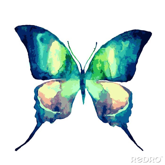 Sticker  Papillon turquoise aquarelle