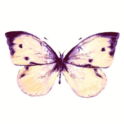 Sticker  Papillon version artistique