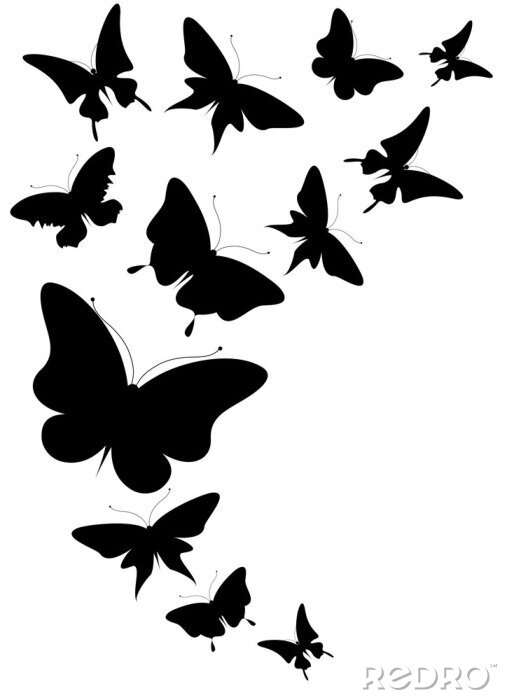 Sticker  Papillons 3D en noir et blanc