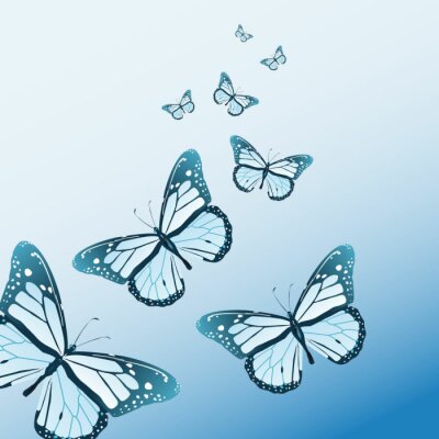 Papillons 3D sur fond bleu
