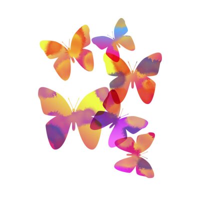 Sticker  Papillons arc-en-ciel sur fond blanc