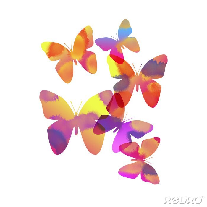 Sticker  Papillons arc-en-ciel sur fond blanc