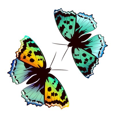 Sticker  Papillons colorés sur fond clair (le motif se répète)