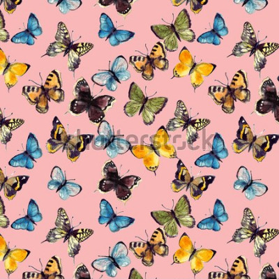 Sticker  Papillons multicolores sur fond rose