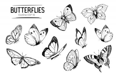 Sticker  Papillons noirs et blancs de différentes formes