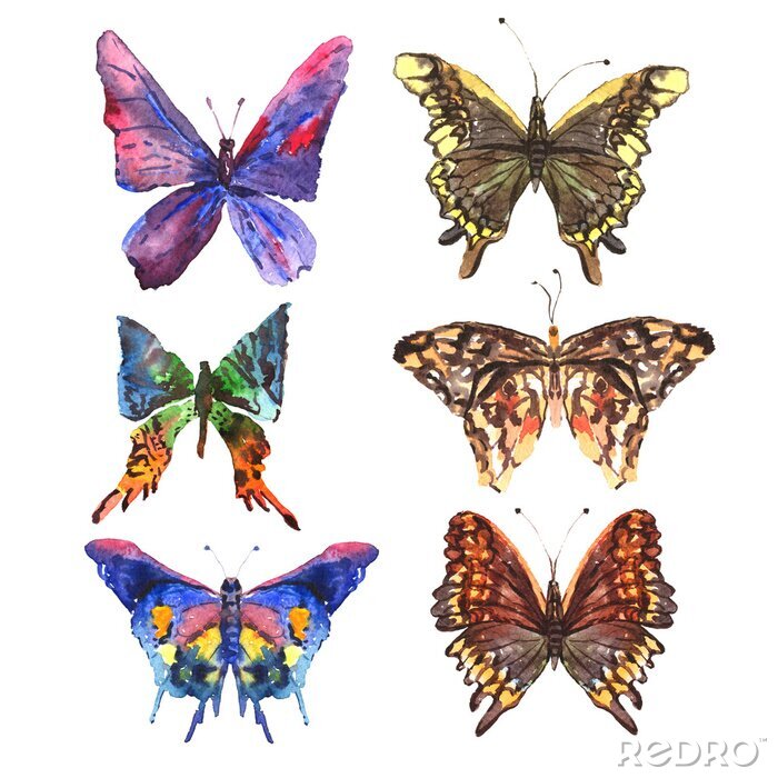 Sticker  Papillons peints avec des peintures à l'eau