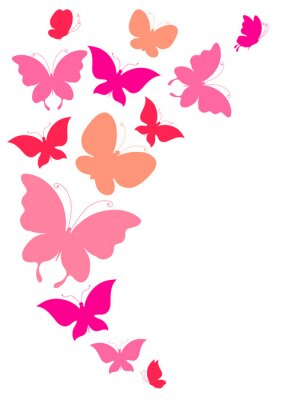 Papillons tonalités de rose