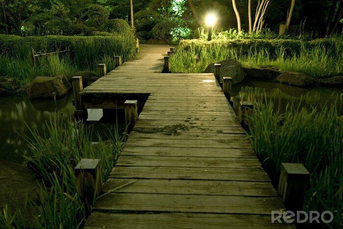Sticker  Passerelle éclairée au milieu de la nature