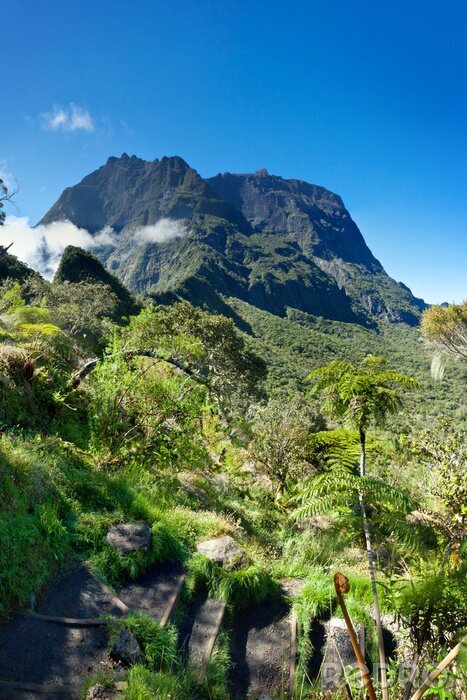 Sticker  Paysage avec une montagne tropicale