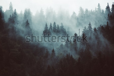 Sticker  Paysage brumeux avec forêt de sapins dans un style rétro hipster vintage