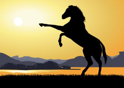 Sticker  Paysage_Cheval cabré