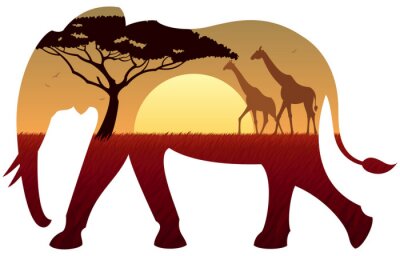 Sticker  Paysage d'éléphant
