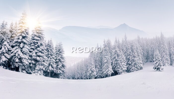 Sticker  Paysage d'hiver brumeux dans les montagnes