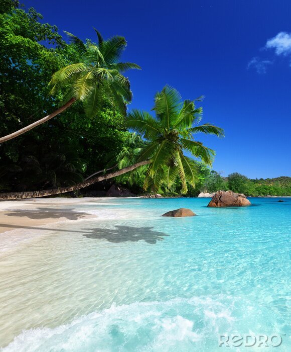 Sticker  Paysage de mer tranquille de plage dorée