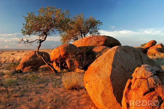 Sticker  Paysage désertique de Namibie