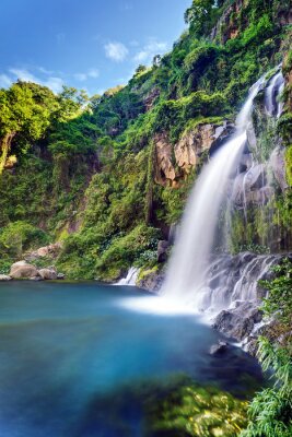 Paysage forestier avec cascade
