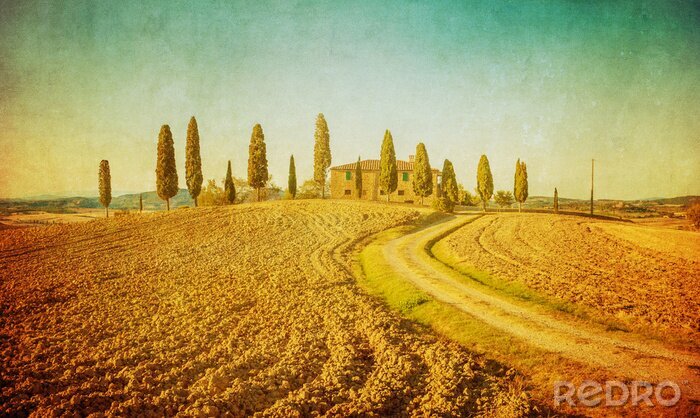 Sticker  paysage toscan cru