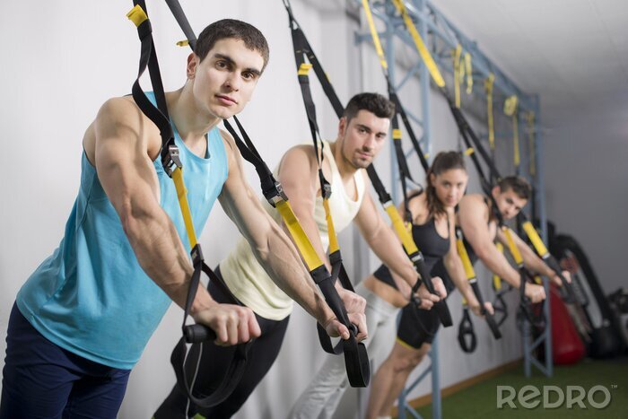 Sticker  People at gym doing trx rope exercises