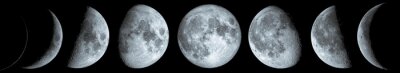 Perspective de la lune pendant différentes phases