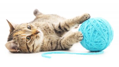 Petit chat avec une pelote de laine bleue