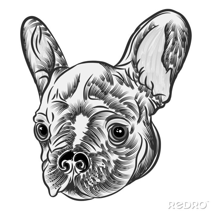 Sticker  Petit concept mignon de style de tatouage de chien de bouledogue français sur fond blanc. Portrait de chien amical. Illustration vectorielle.