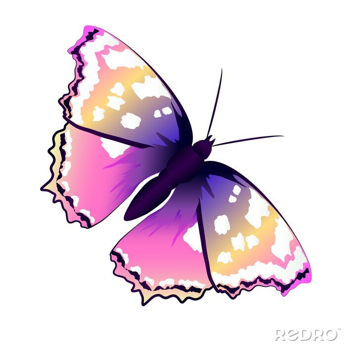 Sticker  Petit papillon sur fond clair