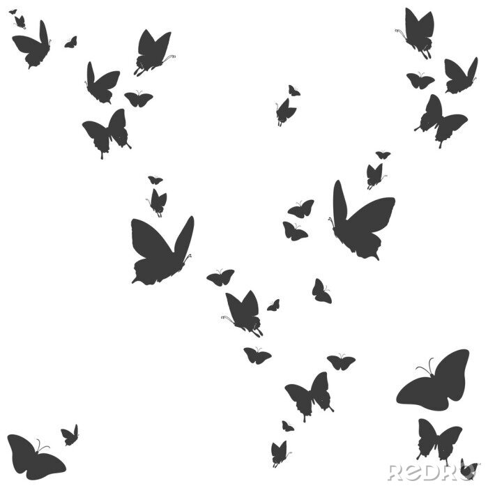 Sticker  Petits et grands papillons noirs