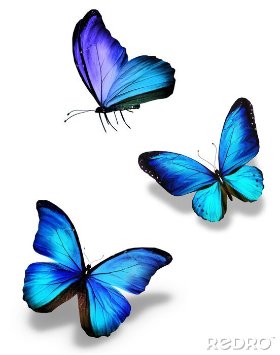 Sticker  Petits papillons bleus au vol