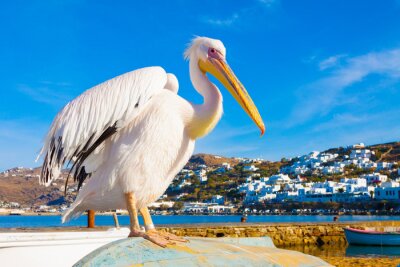 Sticker  Petros Pelican célèbres de l'île de Mykonos en Grèce Cyclades
