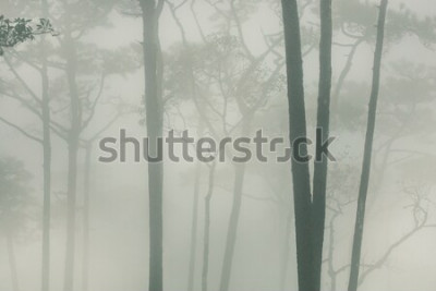 Sticker  Phoo soi dao Thaïlande